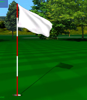 Waving Golf Flag